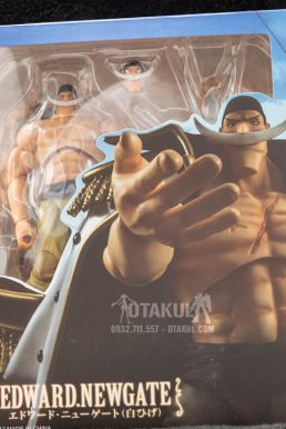 Mô Hình Figma Râu Trắng - One Piece
