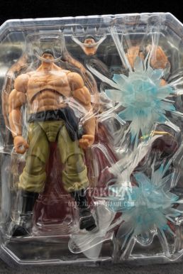 Mô Hình Figma Râu Trắng - One Piece
