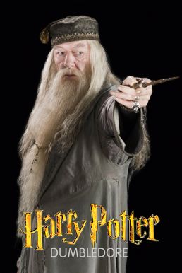 Bộ Hoá Trang Giáo Sư Dumbledore Trong Harry Potter