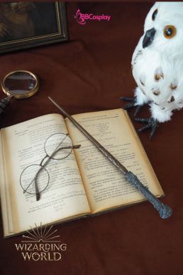 Đũa Phép Lông Phượng Hoàng Trong Phim Harry Potter