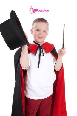 Đũa Phép Lông Phượng Hoàng Trong Phim Harry Potter