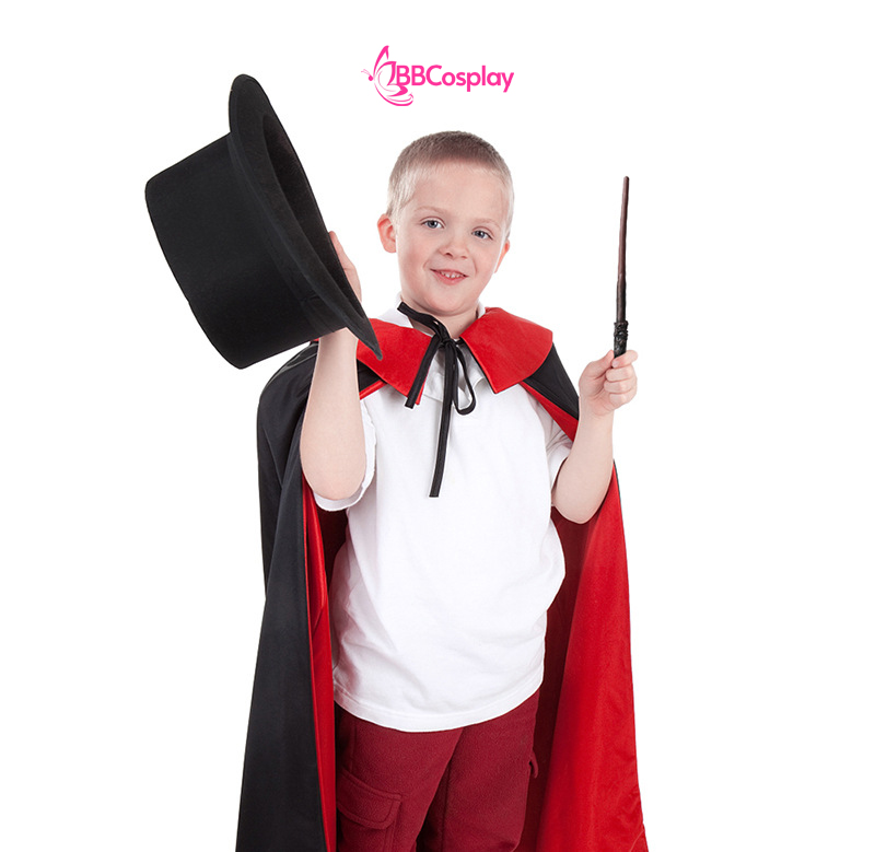 Đũa Phép Lông Phượng Hoàng Trong Phim Harry Potter